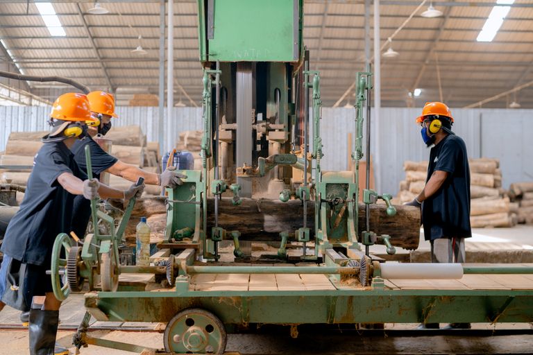 Industrial lumber processing with workers operating machinery in a factory setting.